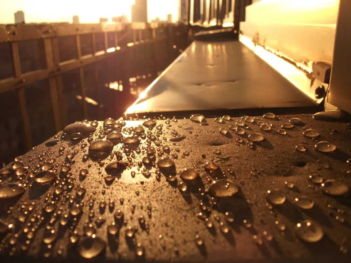Water droplets glowing on a sunlit metal railing